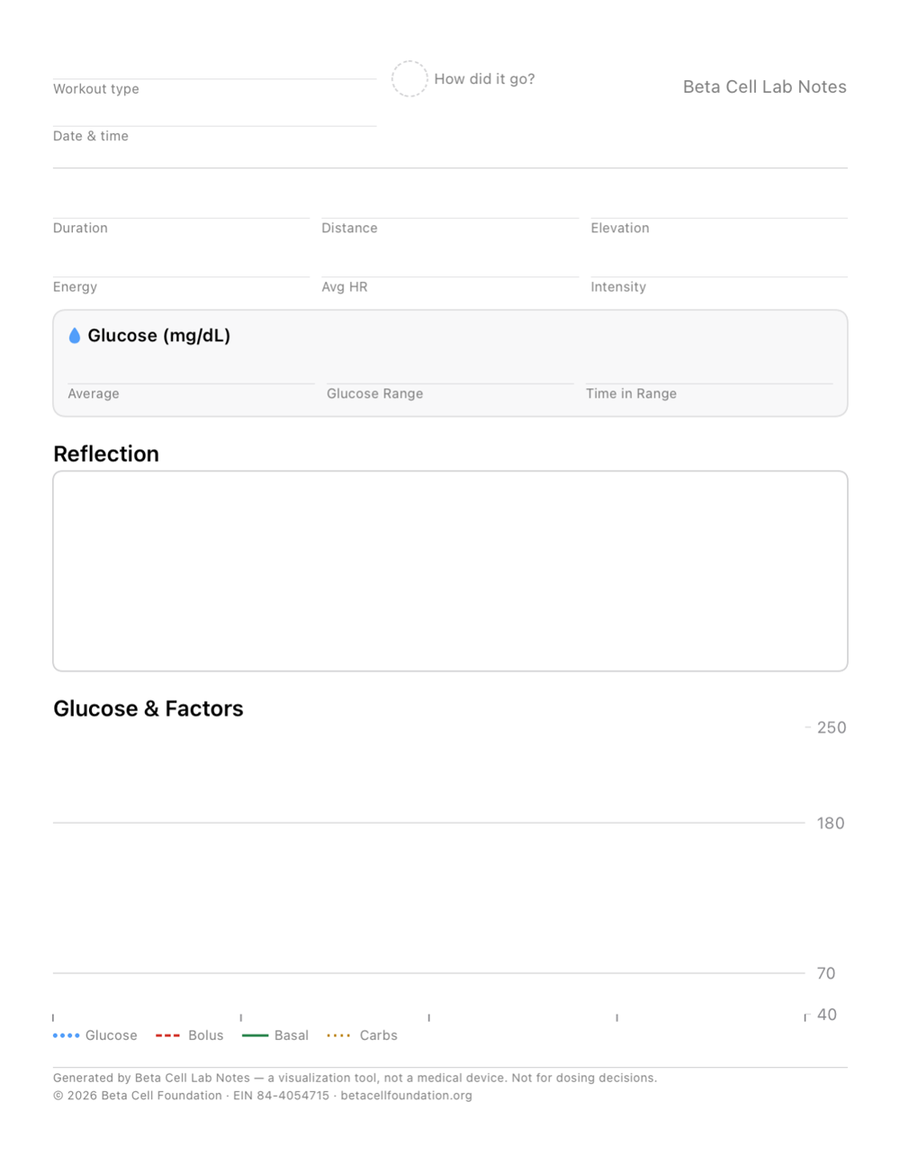 The blank Detail logbook page: fields for the workout, a box for the reflection, and an empty glucose-and-factors chart.