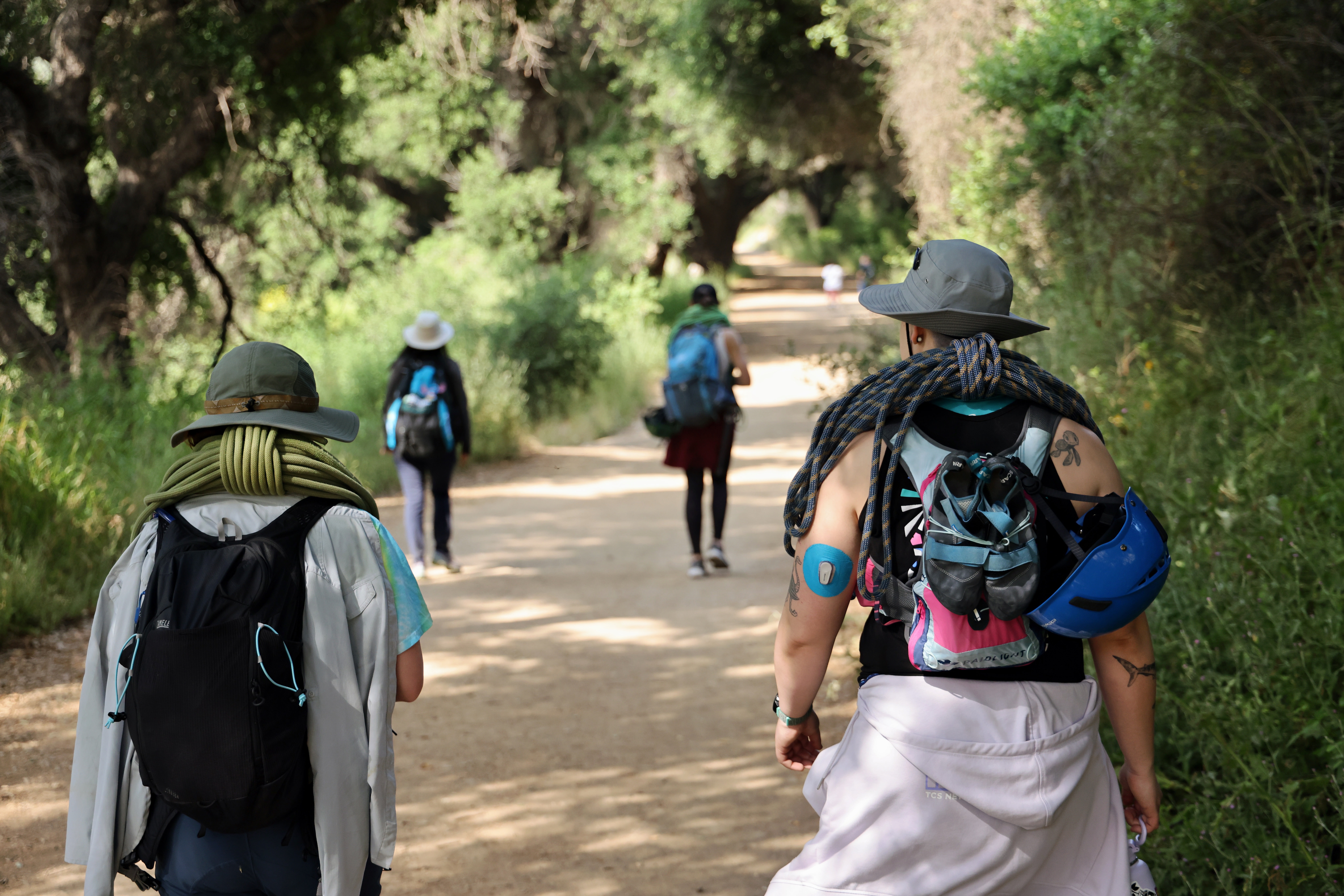 Rear view of four hikers with backpacks and climbing helmets walking down a shaded dirt trail through dense trees